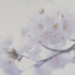 女人自慰免费观看
